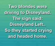 Disney land left