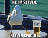 Im steven seagull