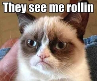 They see me rollin, i hate them