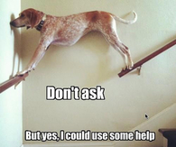 Dont ask but yes i could use some help