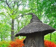 Tree Fairy House