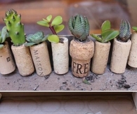 DIY Wine Cork Garden