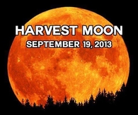 Harvest moon