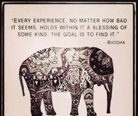 Every Experience....