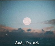 And, im said. Again