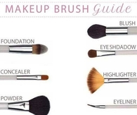 Makup Brush Guide