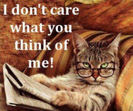 I dont care what you think about me