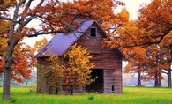Old Barn in the Fall