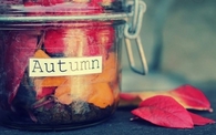 Autumn leaf jar