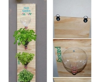 DIY Plastic Bottle Herb Garden