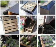 DIY Palette Garden