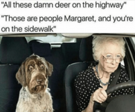 time to give up driving
