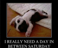 need a day