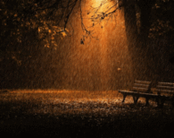 Autumn Rain
