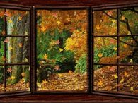 Autumn Window Gif