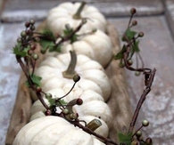 White Pumpkins as a Table Centerpiece