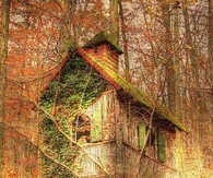 Old Shack in the Fall