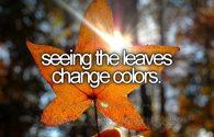 Seeing the leaves change colors
