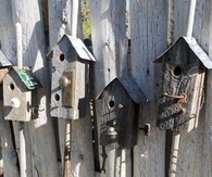 Birdhouses made with garden tools