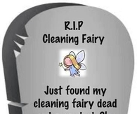 RIP Cleaning Fairy