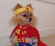 Pom Super hero