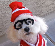 Where's Waldo costume