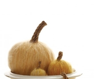 Homespun Pumpkin Decorations