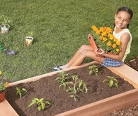 Garden Bed