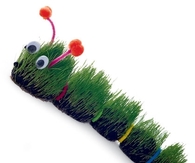 The very hairy caterpillar 