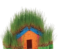 Little Grass House