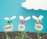 Beneficial Bugs