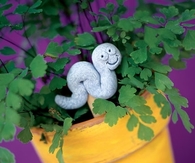 Plant Markers