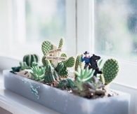Windowsill Gardens