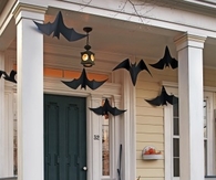 Hanging Bats