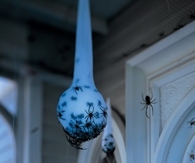 Spider Egg Sac