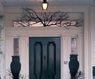 Owl Night Watchers