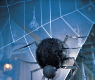 Spider Sentry