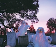 Graveyard Ghost