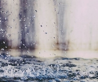 Fallen rain
