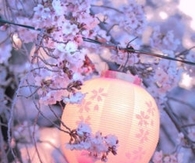 Lantern