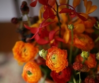 Autumn bouquet