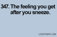 347-sneeze