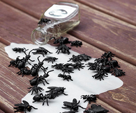 Bugs and spilled poison
