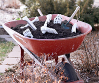 Wheelbarrow of Bones