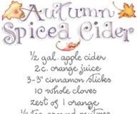 Autumn Spiced Cider