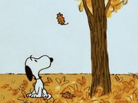 Snoopy Loves Fall