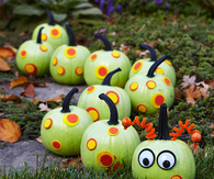 No carve caterpillar pumpkin