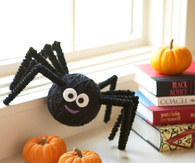 Itsy Bitsy Spider