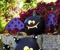 Bat and cat pumpkins