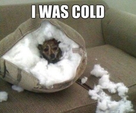 I was cold so i made an igloo